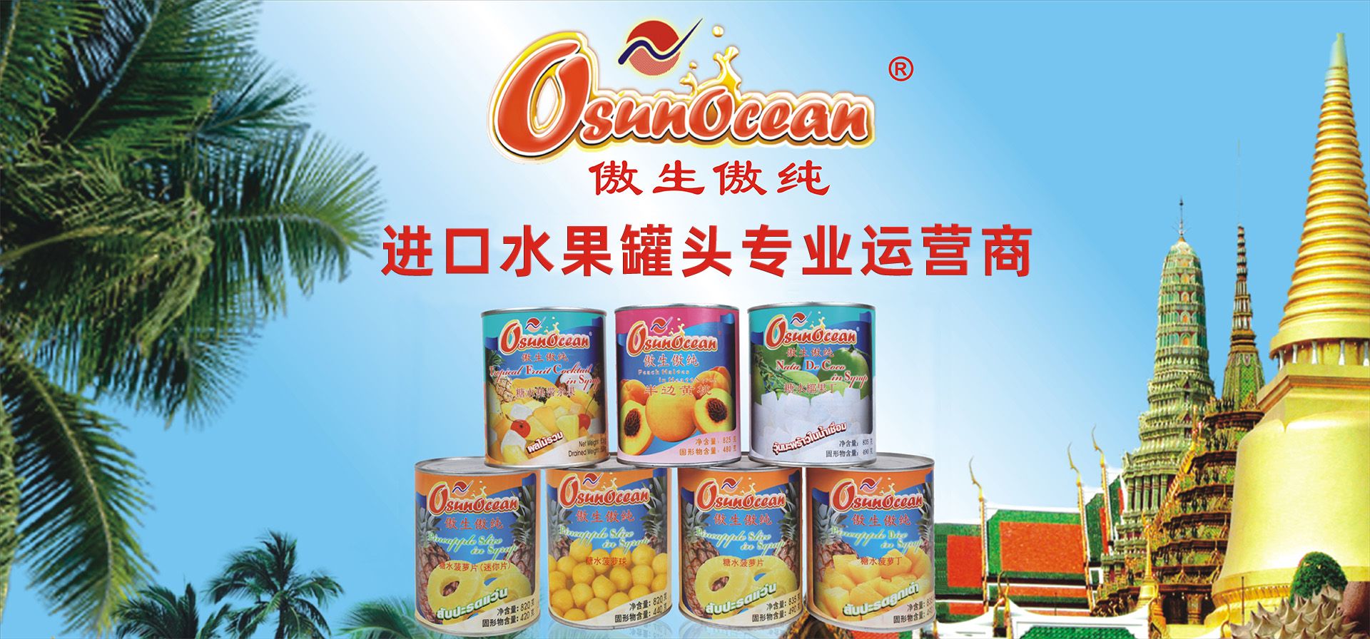 广州傲信国际贸易有限公司